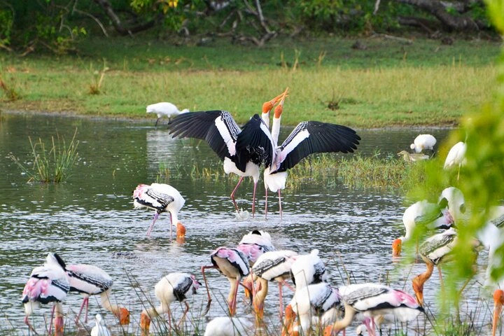 Kumana Bird Sanctuary Boundary