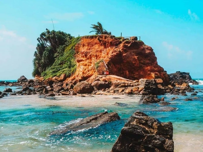Parrot Rock