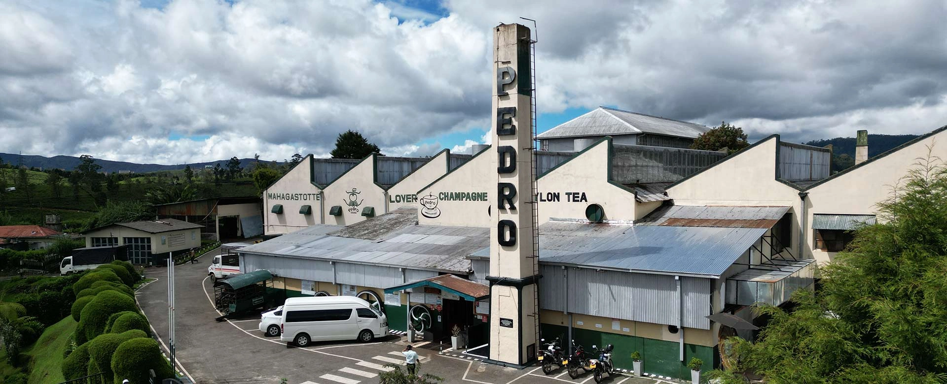 Pedro Tea Estate & Factory