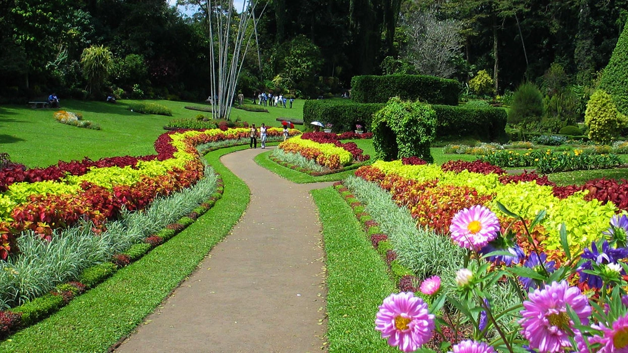 Royal Botanical Gardens, Peradeniya