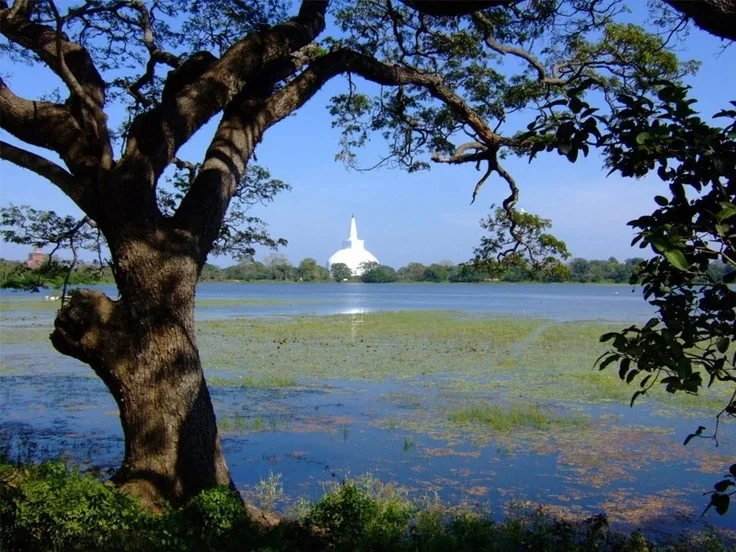 Anuradhapura