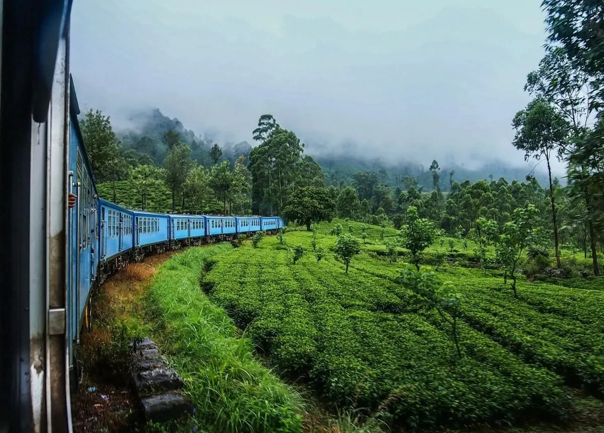 Nuwara Eliya Misty Tea Hills