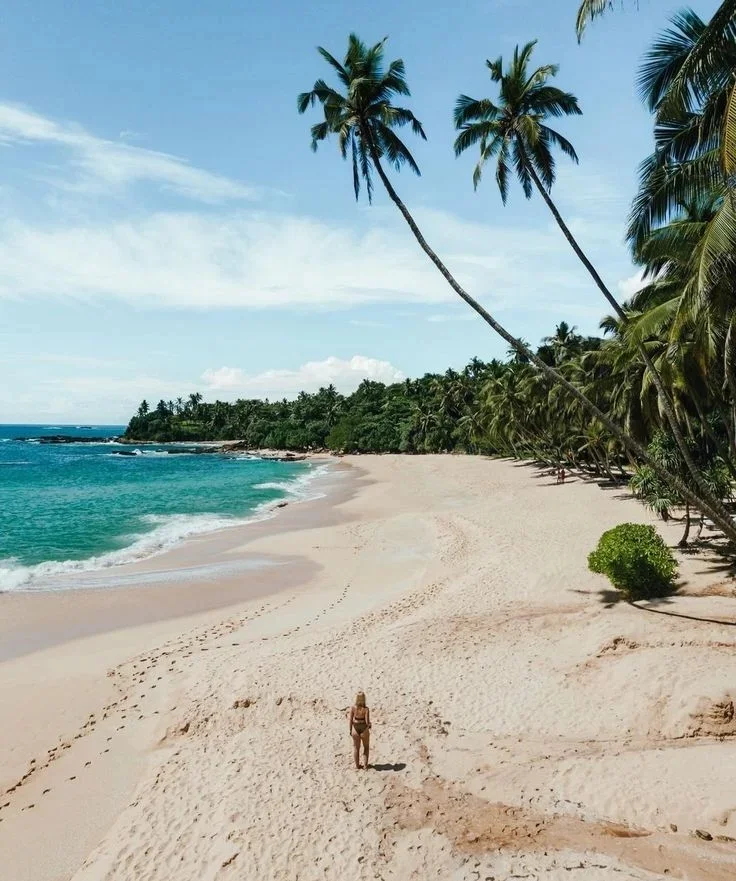 Bentota Golden Sand Palm Beach